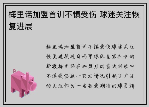 梅里诺加盟首训不慎受伤 球迷关注恢复进展
